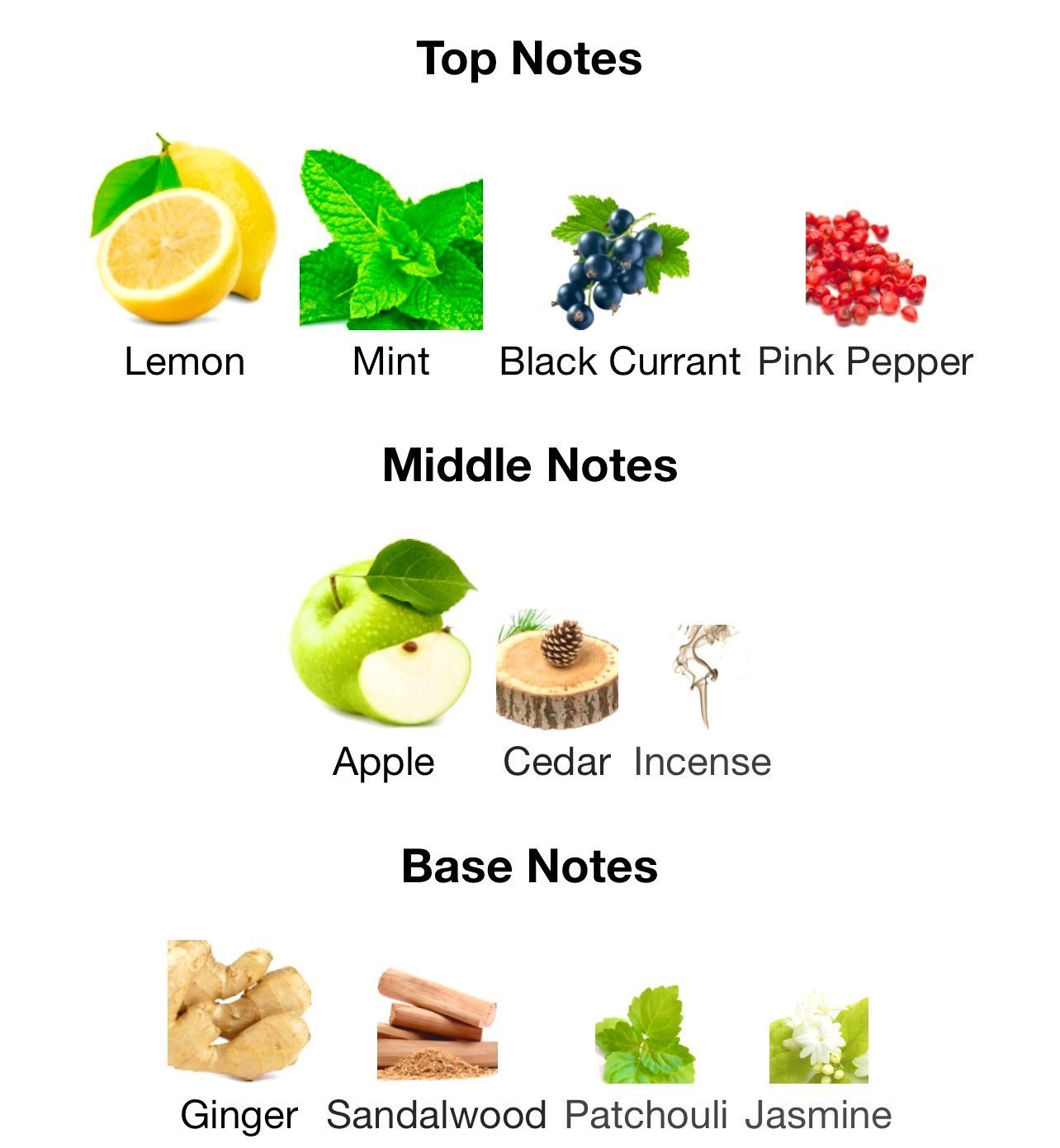 AFNAN 9 AM ⏰ 100ML M - Image 3
