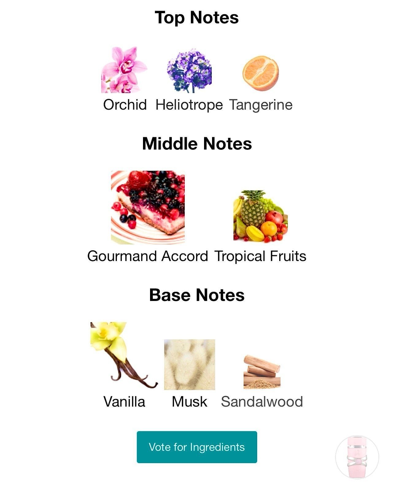 LATTAFA YARA 100 ML W - Image 3